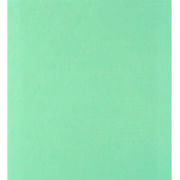 DETAIL40569