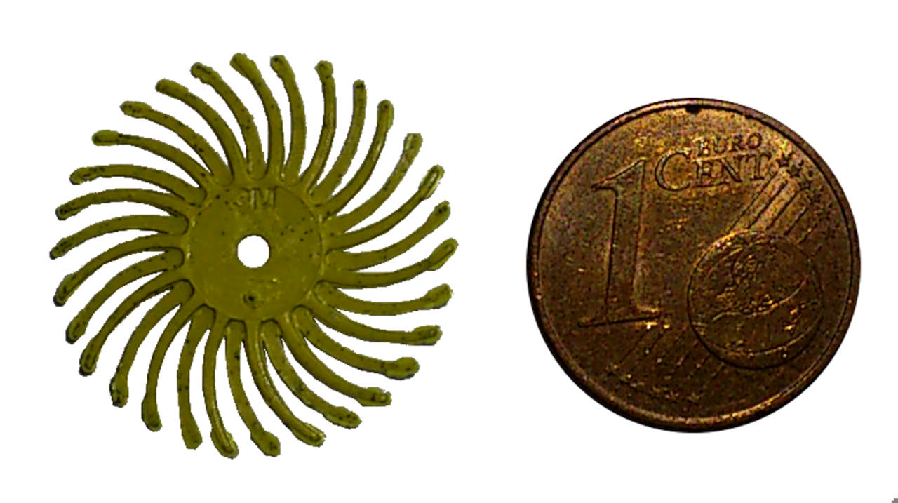 Radial Bristle Einzelsegmente