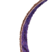 DETAIL41760