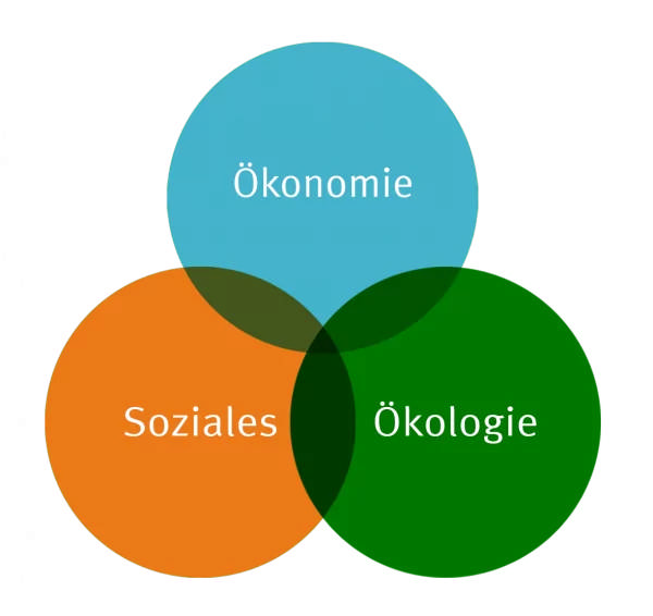 Diagramm, das die drei Säulen der Nachhaltigkeit zeigt: Ökonomie, Soziales und Ökologie, im Kontext des Verhaltenskodex Röckelein.